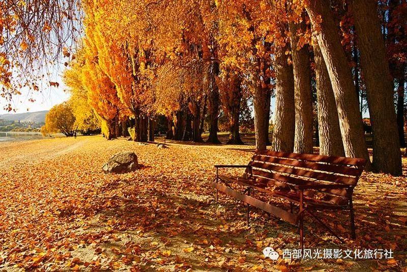 锅圈午盘大涨逾18% 盘中创去年11月上市以来新高