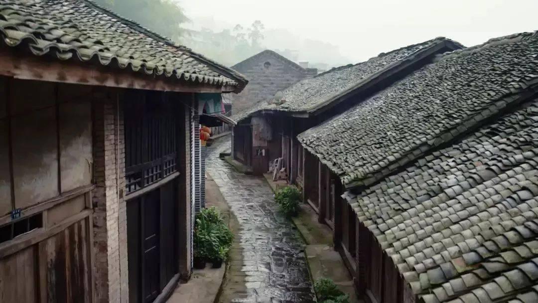 张雨绮：早期写真大赏 揭示狮子座大美女的艺术灵魂与性感气场